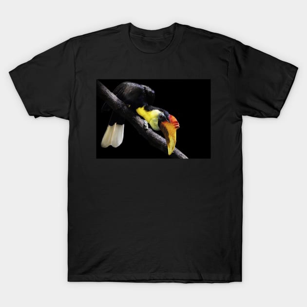 Wrinkled hornbill T-Shirt by MinnieWilks